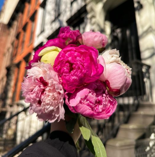 Official UrbanStems Flower & Plant Same Day Delivery » NYC, DC